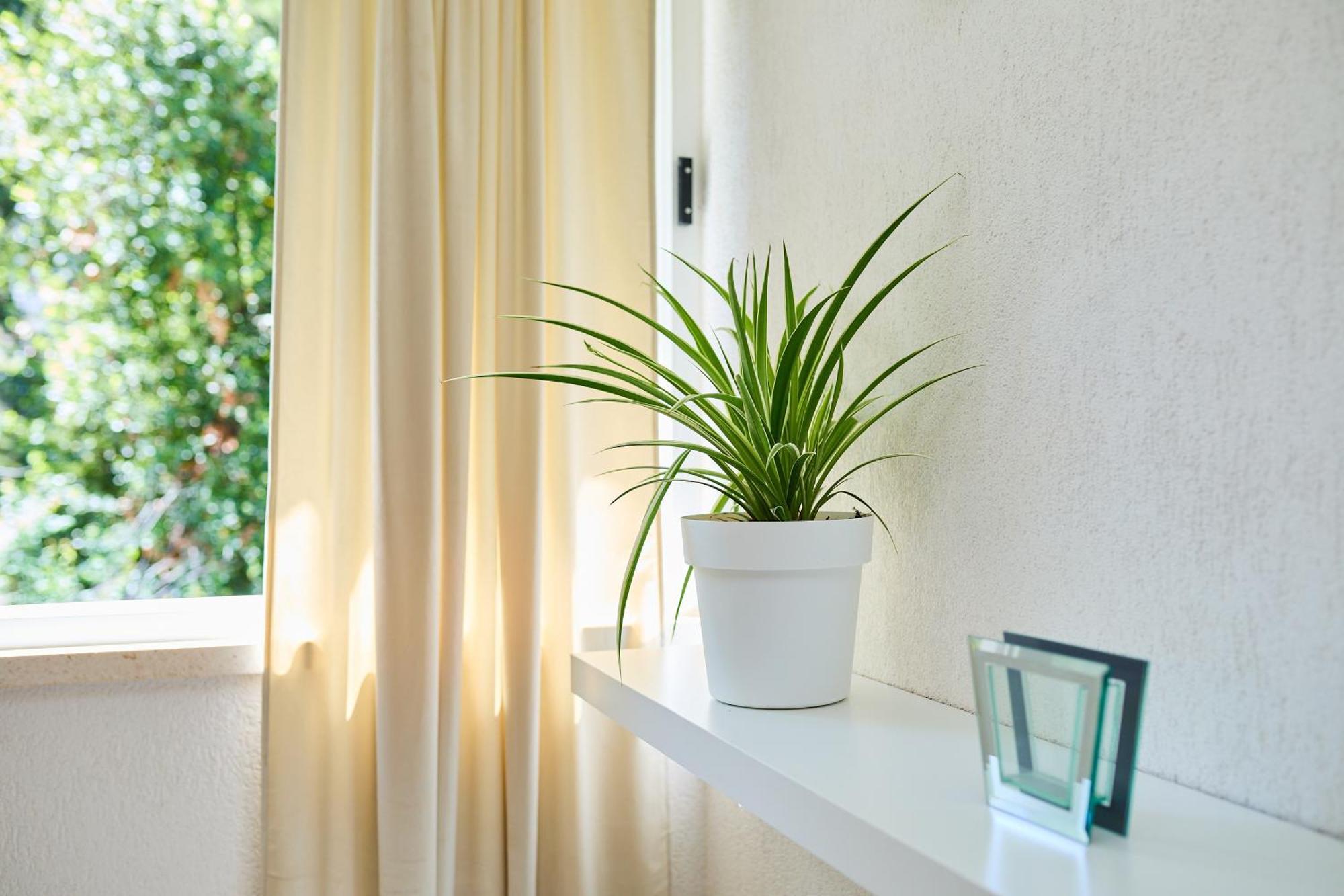 Apartment Promenada- 4Pax With Parking Dubrovnik Extérieur photo
